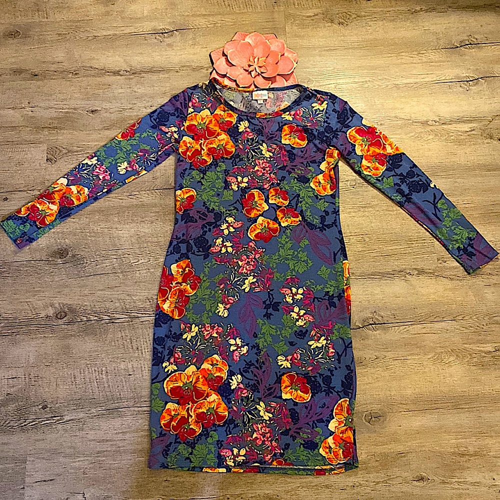 NWT (no tag) Lularoe JuliaDress S